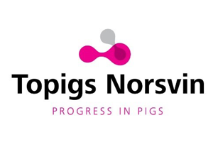 Topigs Norsvin